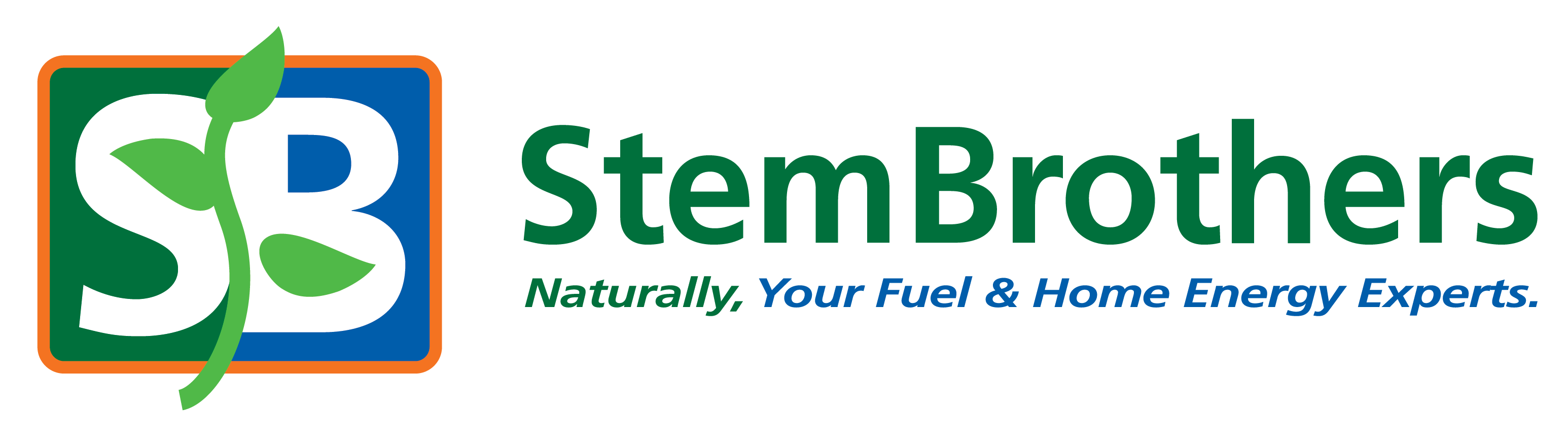 Stem Brother's Logo